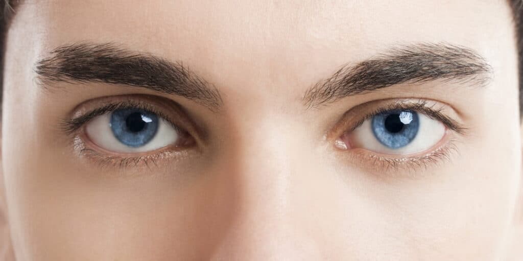 closeup of the blue eyes